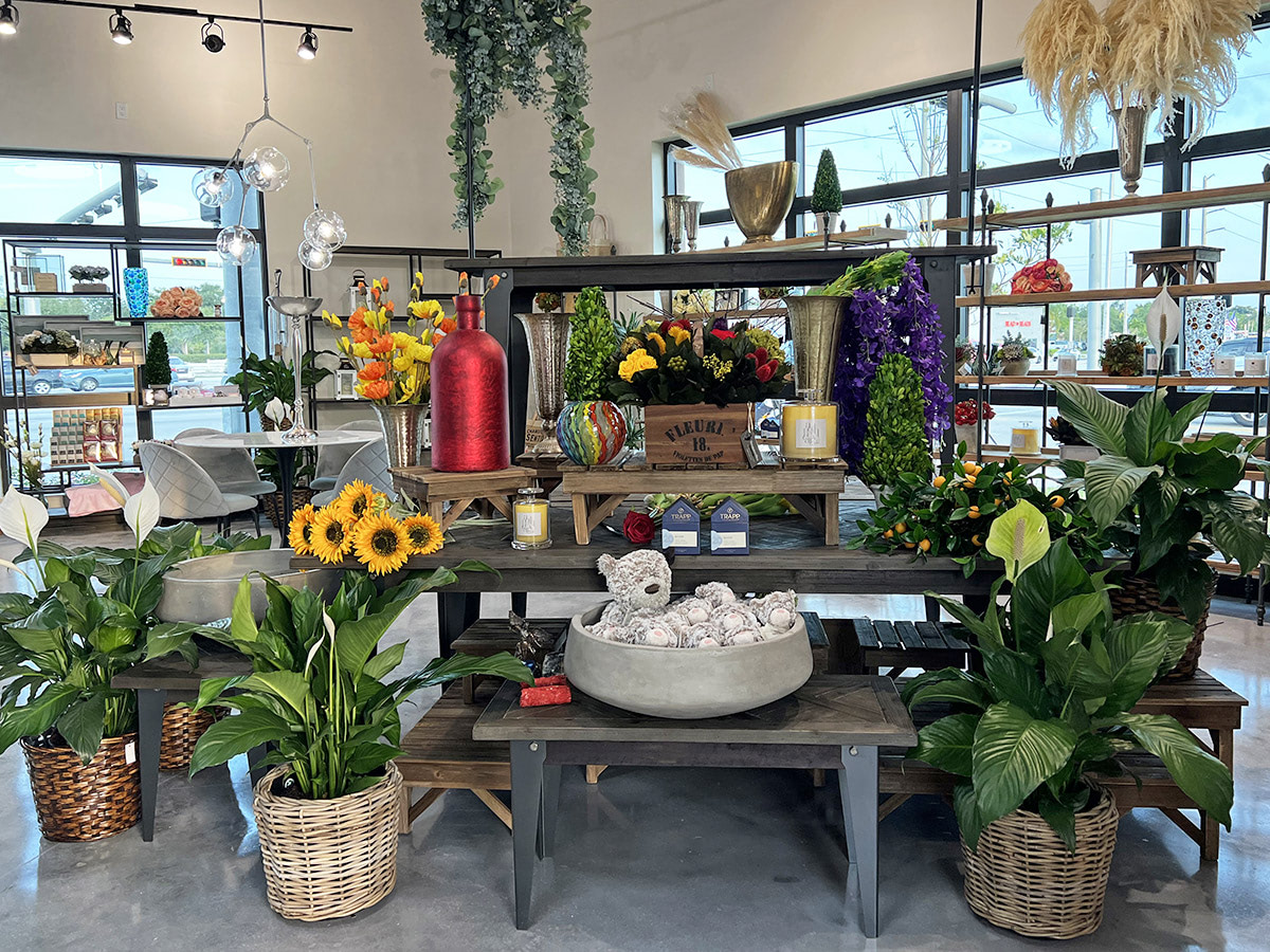 A lovely selection of plants and home décor items, on display in our new showroom